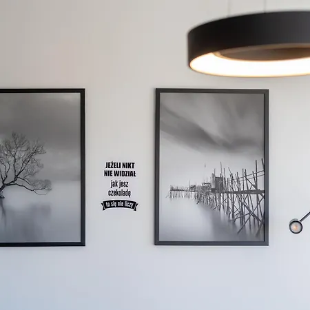 Grzegorzki Comfy By Bookinghost